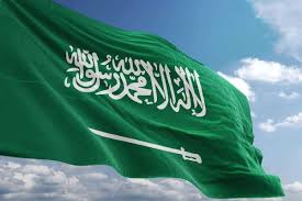 أهم انجازات المملكة العربية السعودية مجلة البرونزية