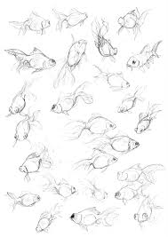 The Best Of The Fish Studies Animal Drawings Art Drawings Drawings