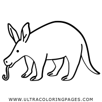 Giant anteater eats up to 35,000 ants and termites each day, so it visits. Anteater Coloring Pages Ultra Coloring Pages