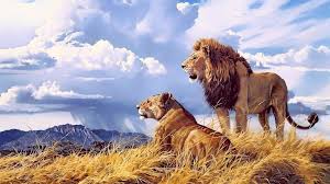 Lions Beast Animal Pair 4k Wallpaper Lion Painting Lion Images Lion Painting Art