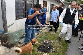 Penyakit anjing gila dibawa oleh virus lyssaviruses. Vaksinasi Giat Dilaksana Utusan Borneo Online