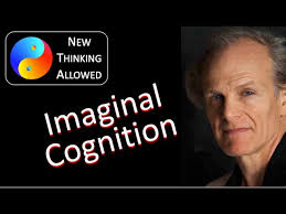 Exploring Imaginal Cognition with Alan Steinfeld