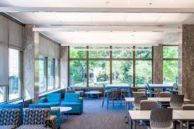 Innovative Policy Saves Academic Freedom - Irish Rover