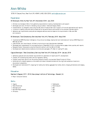 bi developer resume examples and tips