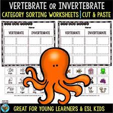 This page has science worksheets and printable activities for teaching your students about invertebrates (animals without a backbone). Vertebrates And Invertebrates Worksheet Teachers Pay Teachers