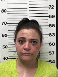 On April 18, 2018, Officers of the Caseyville Police Department were called  to Dollar General for a complaint of retail theft. After an investigation,  a suspect was identified and also determined to