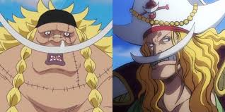 One Piece Speed Read — Reading One Piece Pt 304: Whitebeard Arrives
