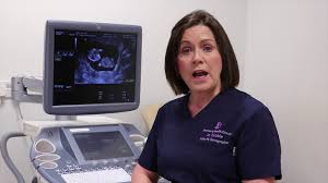 If the speed dating event you are attending is one that offers very little dating time, then it's best to stick with shorter questions in order to learn the most about your date as possible. Early Pregnancy Scan Dating 7 12 Weeks Womens Health Group