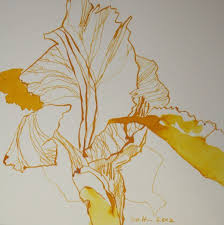 Iris Version 1 15 X 15 Cm Tusche Auf Butten C Zeichnung Von Susanne Haun Schattenmalerei Zeichnungen Blumen Kunst