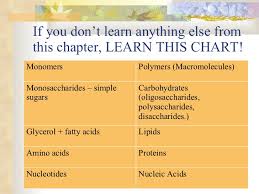Chart Of Carbohydrates Lipids Proteins And Nucleic Acids