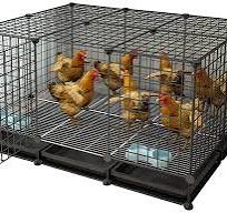 Amazon.com: ACIYD Gallinero gallinero Villa Casa de aves de ...