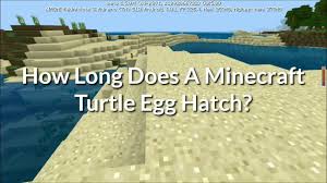 This video tells you about the 1.13 update. How Long Will It Take To Hatch A Turtle In Minecraft Minecraft Questions Youtube