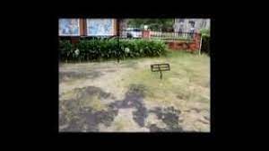 Frequently asked questions about field of burnt rice. Field Of The Burnt Rice In Langkawi Youtube