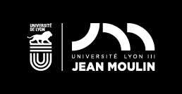In its classrooms are annually educated 25,000 students at various faculties. Universitet Zhan Mulen Lion Iii L Universite Jean Moulin Lyon Iii