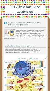 Plant cell diagram labeled gizmo. Cell Structure And Organelles Interactive Worksheet By Cameron Good Staff Leesvillerdhs Wizer Me