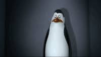See more ideas about penguins of madagascar, penguins, madagascar. Madagascar Penguins Gifs Get The Best Gif On Gifer
