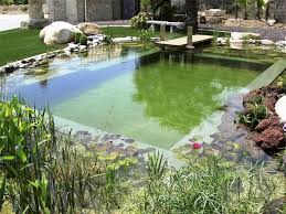 Diy Natural Pools Build Your Own Swimming Pond Natural Swimming Pools Natural Pool Swimming Pool Pond