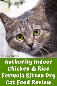 Authority Indoor Chicken Rice Formula Kitten Dry Cat Food Review Oliveknows Cat Food Reviews Cat Food Dry Cat Food