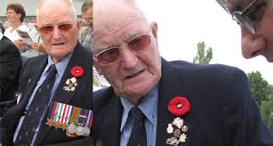 dailyupdates29tulips2005