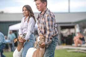 County parks & expo center events. Park County Fair To Feature Full Slate Of Events In 2021 Powell Tribune