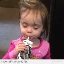 Résultat de recherche d'images pour "alefantis cum panda"