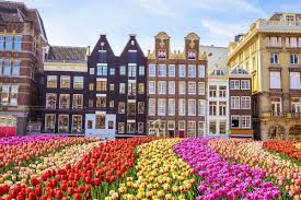 Nicola sturgeon says highland, argyll and bute; City Break City Break Uri Bilete Avion Hotele