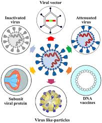 I would expect an mrna vaccine to be much less dangerous than traditional delivery methods, but i don't know if that's just because it hasn't been tested enough to even determine what the dangers. Https Www Spandidos Publications Com 10 3892 Ijmm 2020 4596 Download