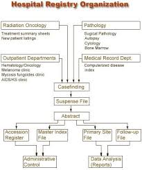 flowchart of the organization of hospital registries