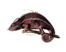 This step by step lesson progressively builds upon each previous step until you get to the final rendering of the. Chameleon From A Splash Of Watercolor Colored Drawing Realistic Vector Illustration Of Paints 2726788 Vector Art At Vecteezy
