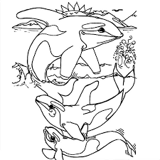 Visit plot.ly to learn more or visit the plotly forum. Orca Whale Coloring Page Coloring Home
