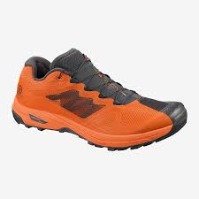 X Alpine Pro Hiking Shoes Men