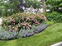 Pin On Flower Beds