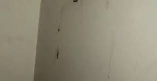 There are wall mounted spotlights and ceiling mounted spotlights to. Ceiling Mold Growth Learn The Cause And How To Prevent It Environix