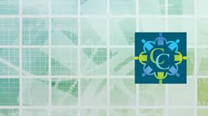 Ovarian cancer and cysts have similar symptoms and signs, for example, pain during intercourse, pelvic pain, and urinary problems. Hereditary Breast And Ovarian Cancer What You Need To Know About Risk Cancerconnect