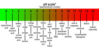 Ph Scale Florence Italy