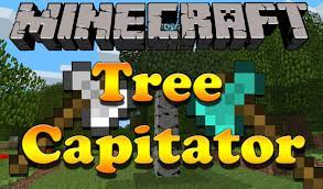 Addon is suitable for all who . Treecapitator Mod 1 12 2 1 11 2 Speed Up The Removal Of Trees 9minecraft Net