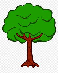 Tree Drawing With Color Hd Png Download Vhv If you want to learn to draw trees, here is a drawing tutorial that you will like.