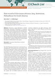 Image result for Sclerocarpus africanus