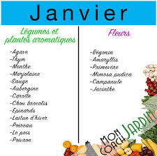 Expert jardin chez truffaut, marc gueguen liste les 10 plantes et fleurs qu'il fait bon planter au mois d'avril pour une floraison optimale durant la belle saison. Fleurs A Planter En Janvier Decouvrez Notre Calendrier