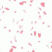 Petals Gif Petals Discover Share Gifs Gif Petals Animated Gif