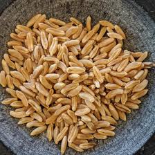 It has been found to reduce inflammation and improve conditions of those suffering from. Kamut Khorasan Wheat Legacy Food Feeds