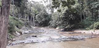 Maybe you would like to learn more about one of these? Mohd Faiz Bin Abdul Manan Pusat Rekreasi Lubuk Timah