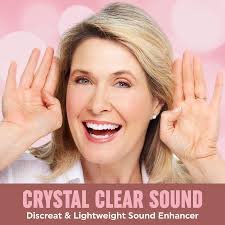 Digital Hearing Aids