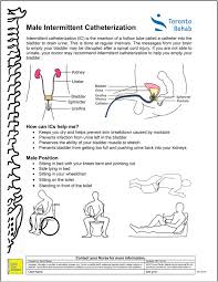 • say more with status messages, photos, videos, maps, emoji, stickers, and animated gifs. Example Of Handout Layout Download Scientific Diagram