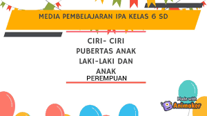 Beranda › bedah kisi kisi › ipa › kelas 4 › kelas 5 › kelas 6 › rangkuman materi › sd/mi › us. Media Pembelajaran Ipa Kelas 6 Tema 6 Ciri Ciri Pubertas Laki Laki Dan Perempuan Youtube