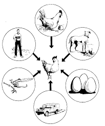 Maybe you would like to learn more about one of these? Newcastle Disease Can Be Transmitted From One Village To Another Via Download Scientific Diagram