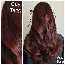Guy Tang On Instagram I Gloss Over A 2 Months Old Balayage With Kenra Demi 6rc And I Love It S Richness Hair Color Formulas Hair Color Auburn Hair Styles