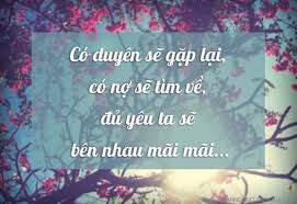 Image result for những câu nói hay về tìm kiếm tình yêu