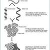 Membrane structure and function pogil answer key, it is entirely simple then, in the past currently we. 1