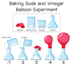 Experimento Cientifico Com Bicarbonato De Sodio E Balao De Vinagre 1868686 Vetor No Vecteezy